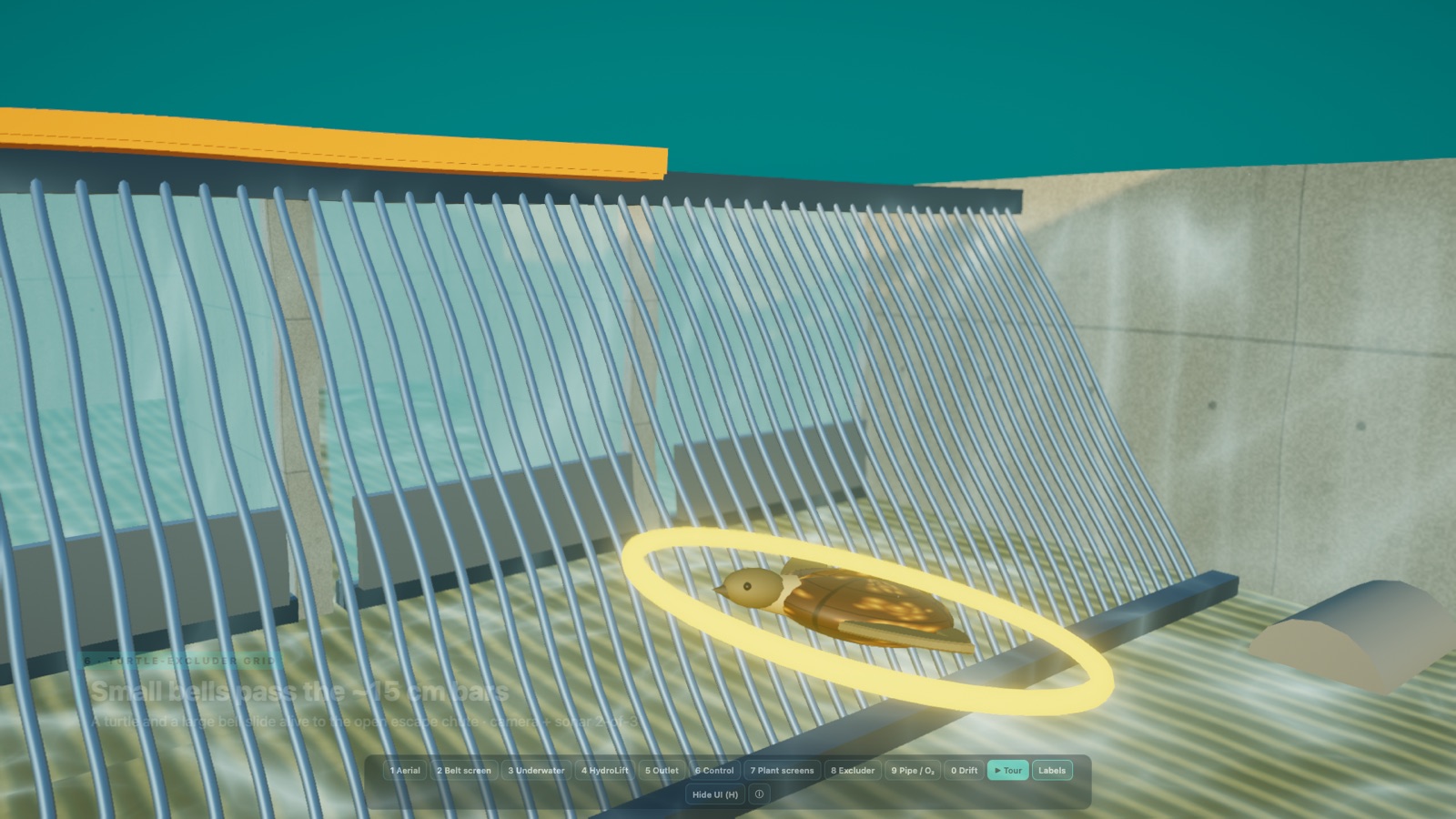 Turtle guided over the excluder grid to the escape chute