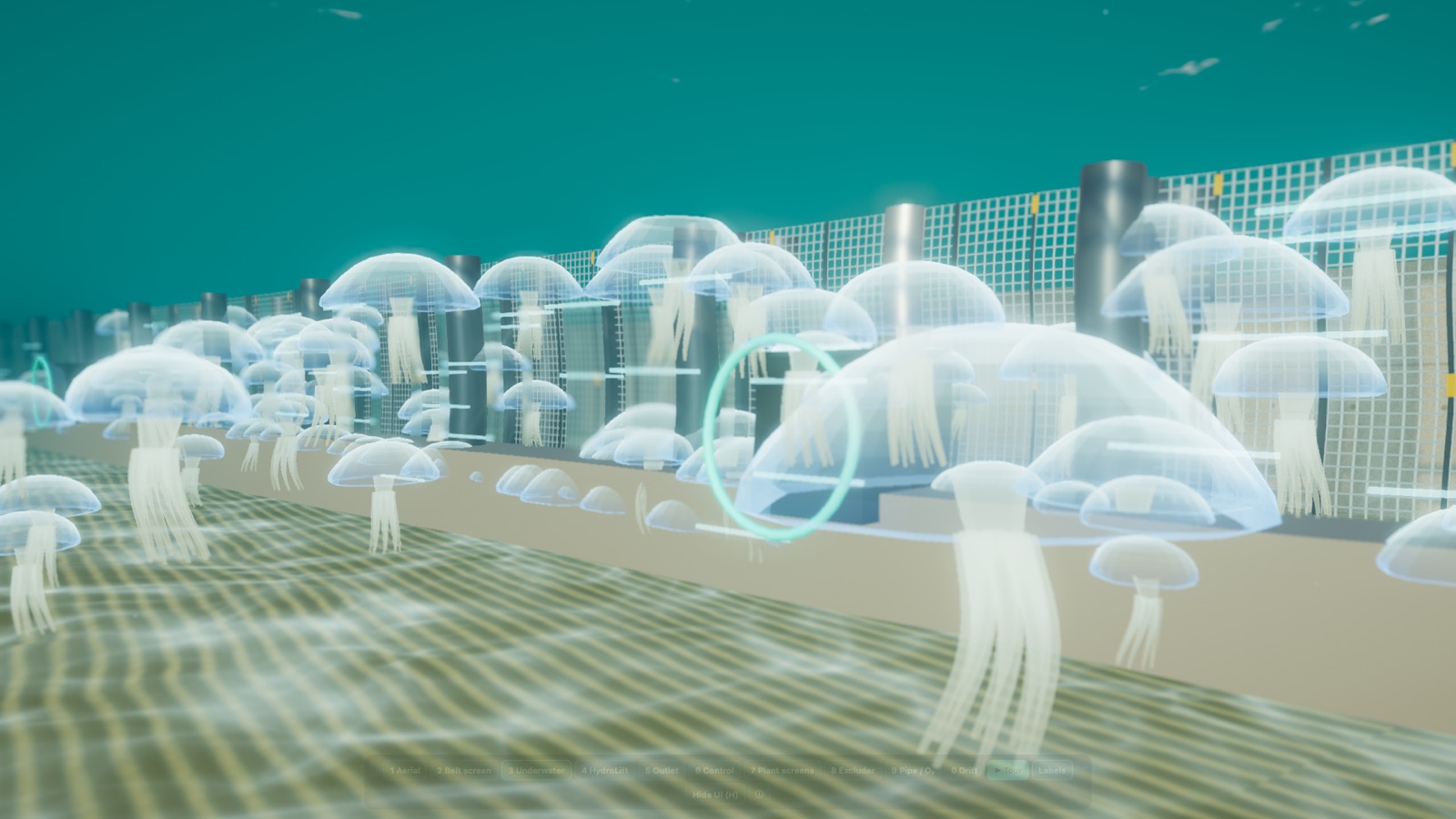 Underwater view in the 3D digital twin